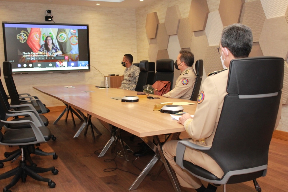 Ministros de Defensa de las Américas, asumen nuevos compromisos frente al COVID-19