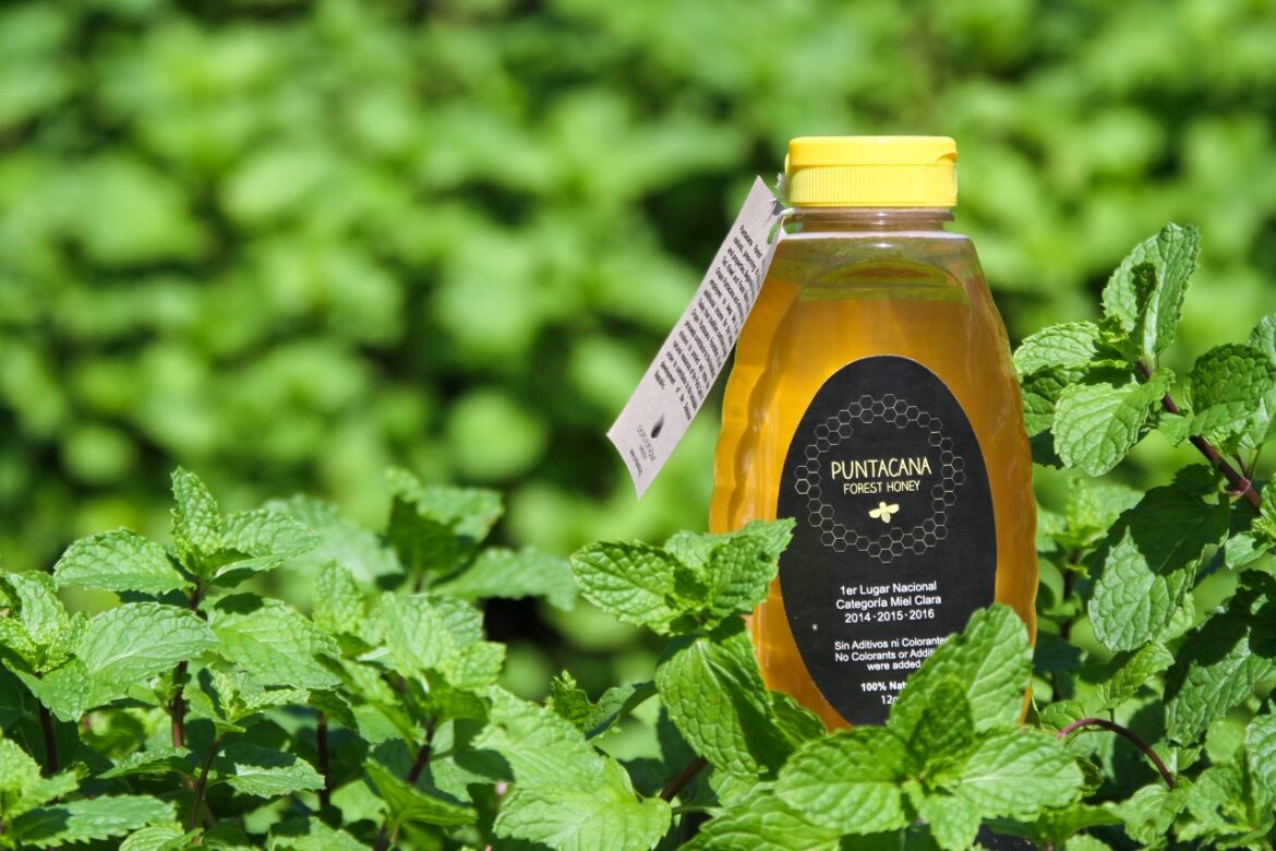 Puntacana Forest Honey -93 (1280×853)