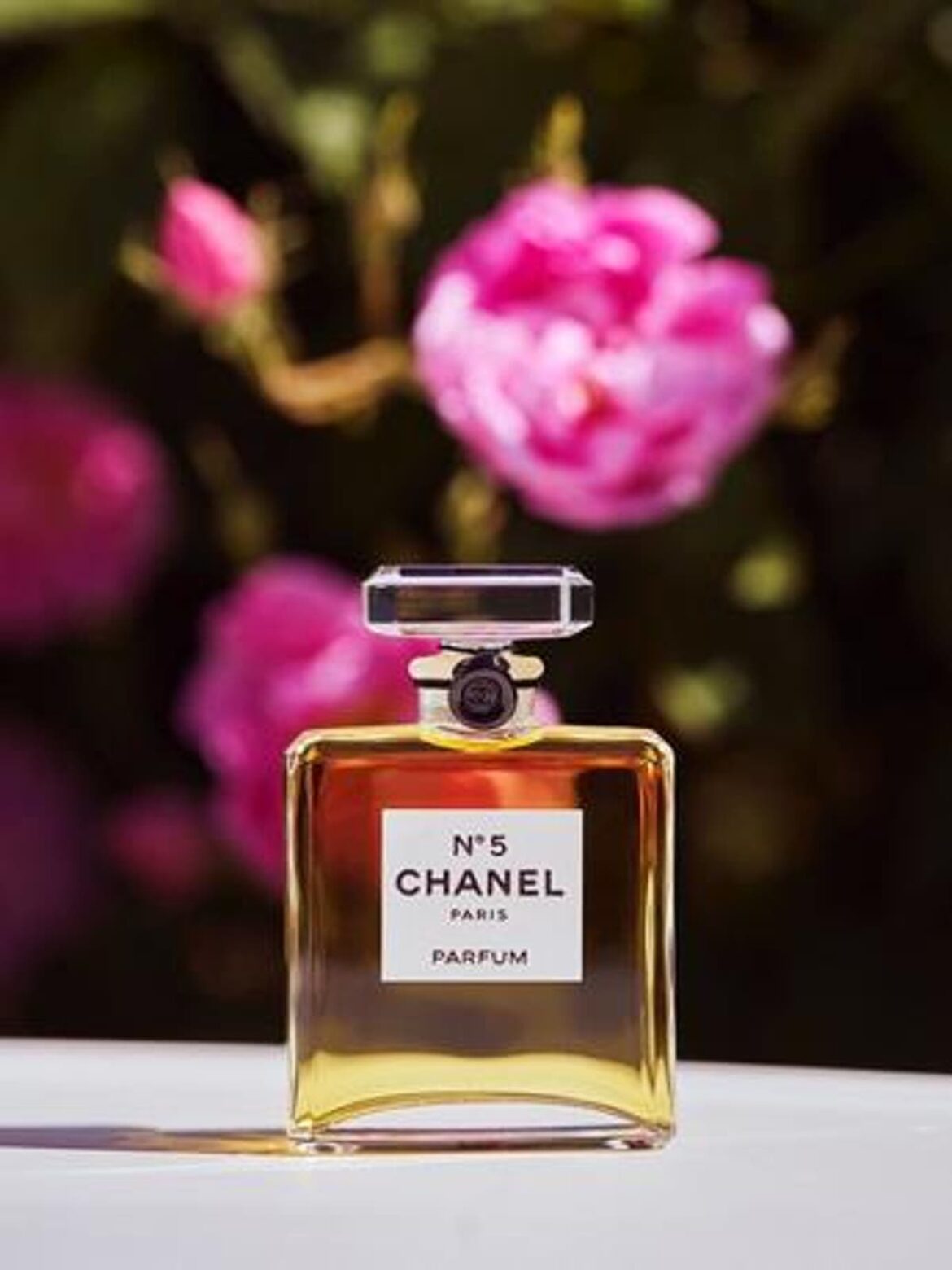 casa-chanel-celebra-100-anos-de-su-fragancia-n5