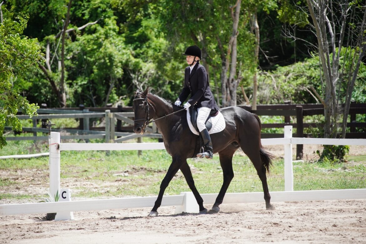 220515 Dressage Competition_Competencia-63 (1280×853)