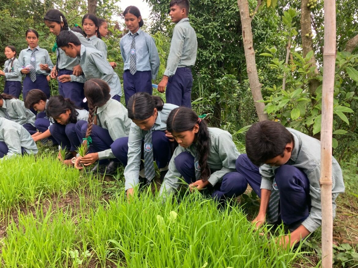 323551367_558822356109719_848818818432746076_n