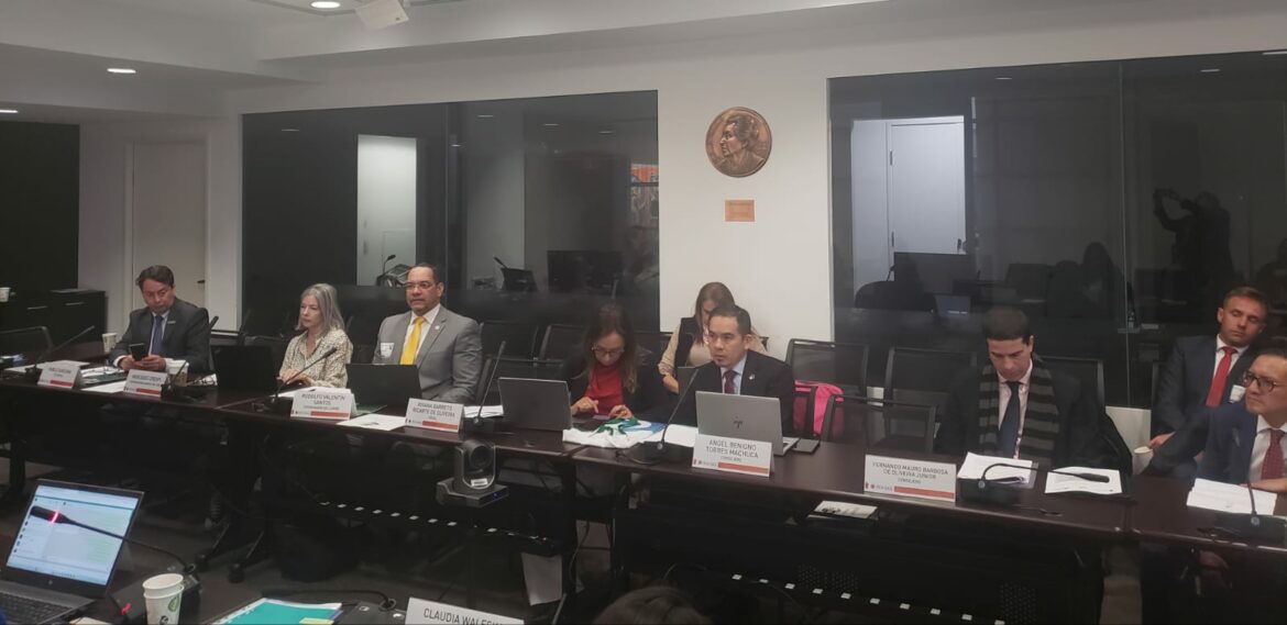 OEA 1