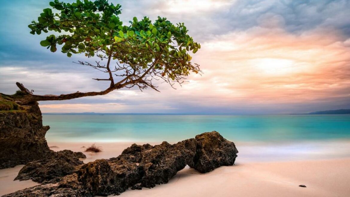 Descubre la nueva guía turística Go Samaná y sumérgete en las maravillas de este destino caribeño.