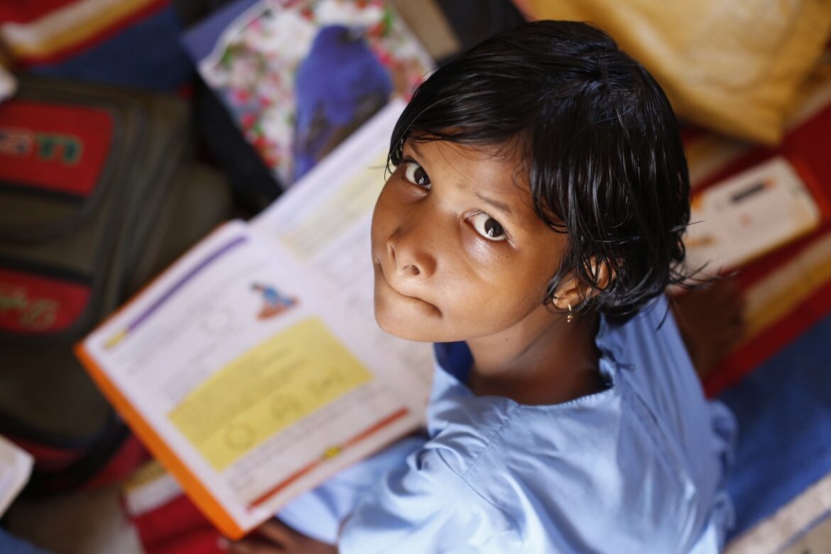 Imagen de AkshayaPatra Foundation en Pixabay.