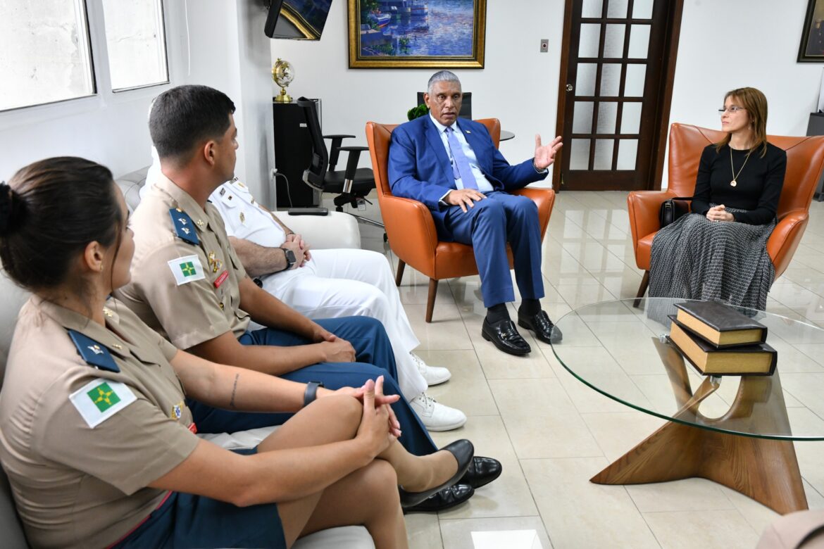 Visita delegacion brasileña MIP junio 2024 2