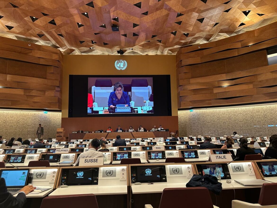 WhatsApp Image 2024-07-08 at 8.56.56 AM