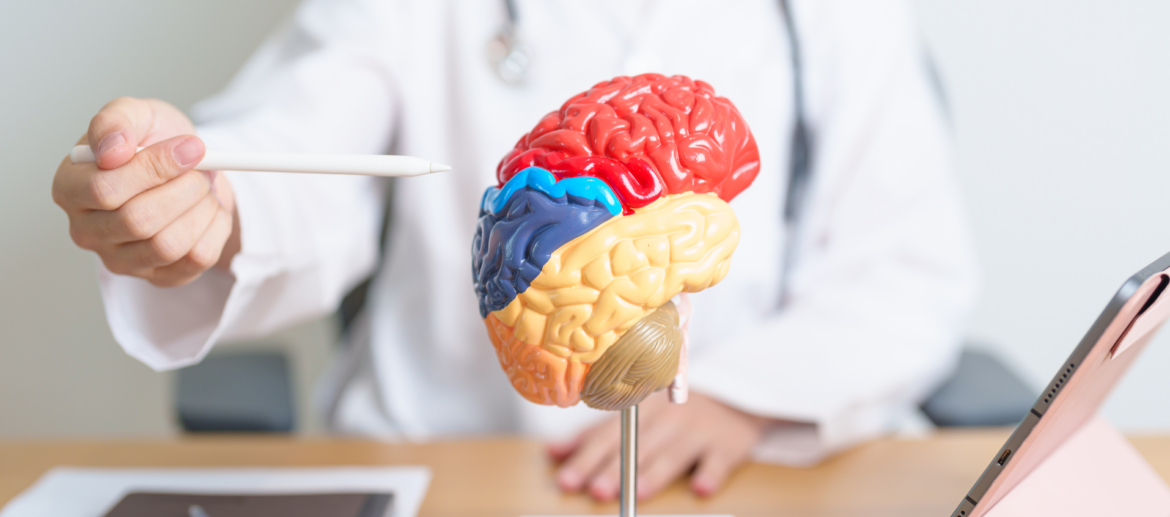 Cerebro