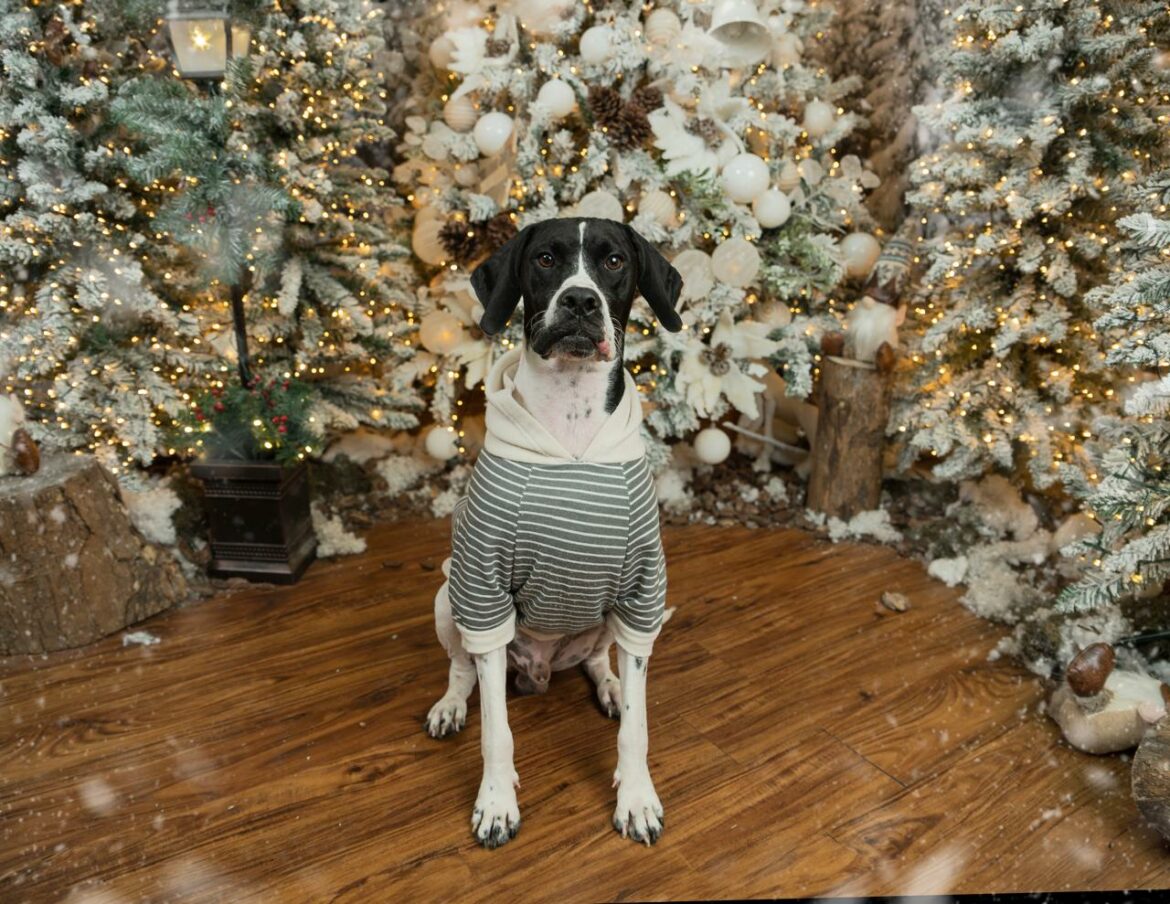 WhatsApp Image 2024-10-08 at 20.03.44 (2)