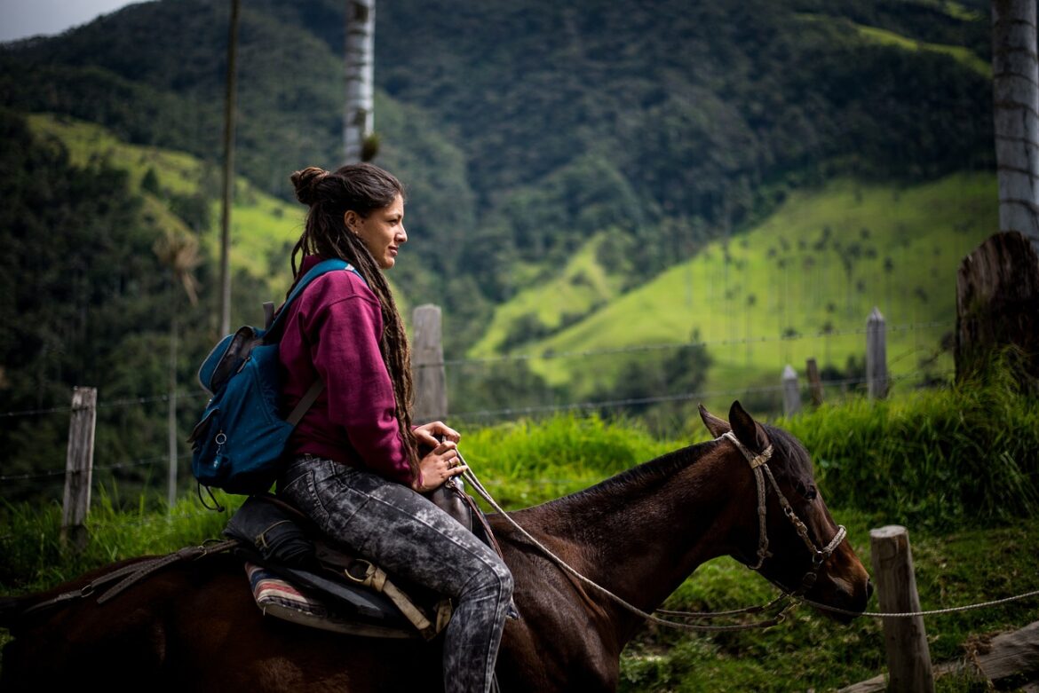 horse-4056053_1280